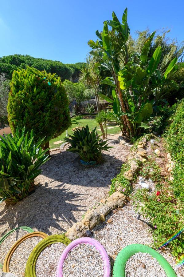 Quinta Do Vale - Natureza, Piscina E Praia! Carvoeira Екстер'єр фото