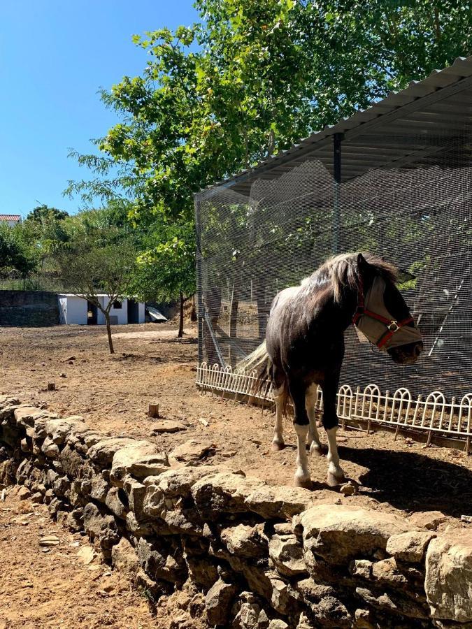 Quinta Do Vale - Natureza, Piscina E Praia! Carvoeira Екстер'єр фото